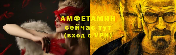 соль ск Вяземский