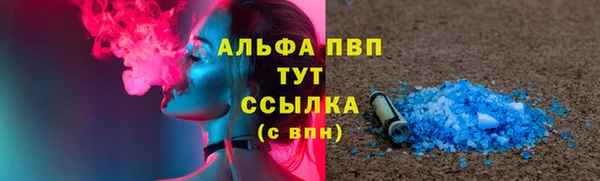 соль ск Вяземский