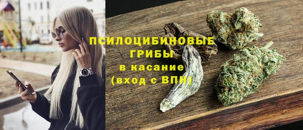 соль ск Вяземский
