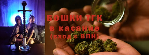 соль ск Вяземский