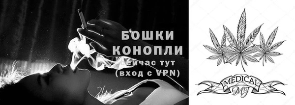 соль ск Вяземский