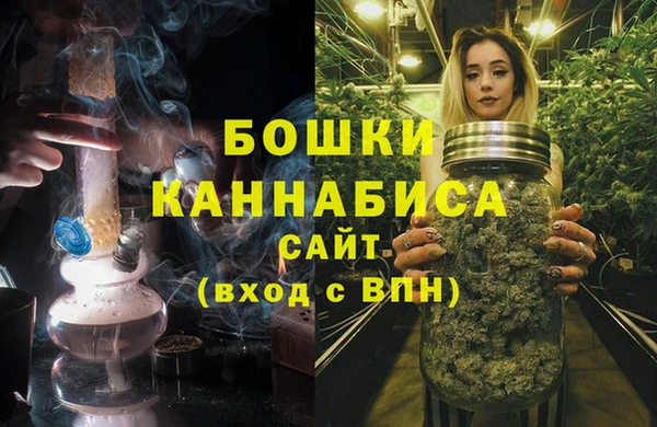 ПСИЛОЦИБИНОВЫЕ ГРИБЫ Горнозаводск