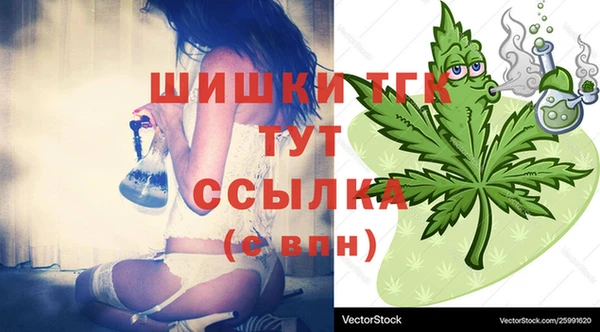 соль ск Вяземский