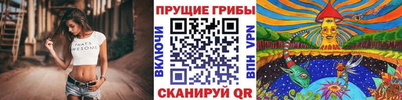сколько стоит  Заводоуковск  Галлюциногенные грибы Psilocybe 
