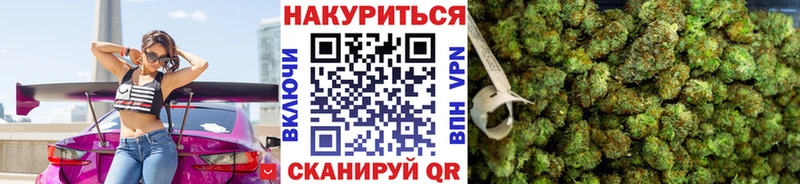 Канабис индика  купить наркотик  blacksprut зеркало  Заводоуковск 